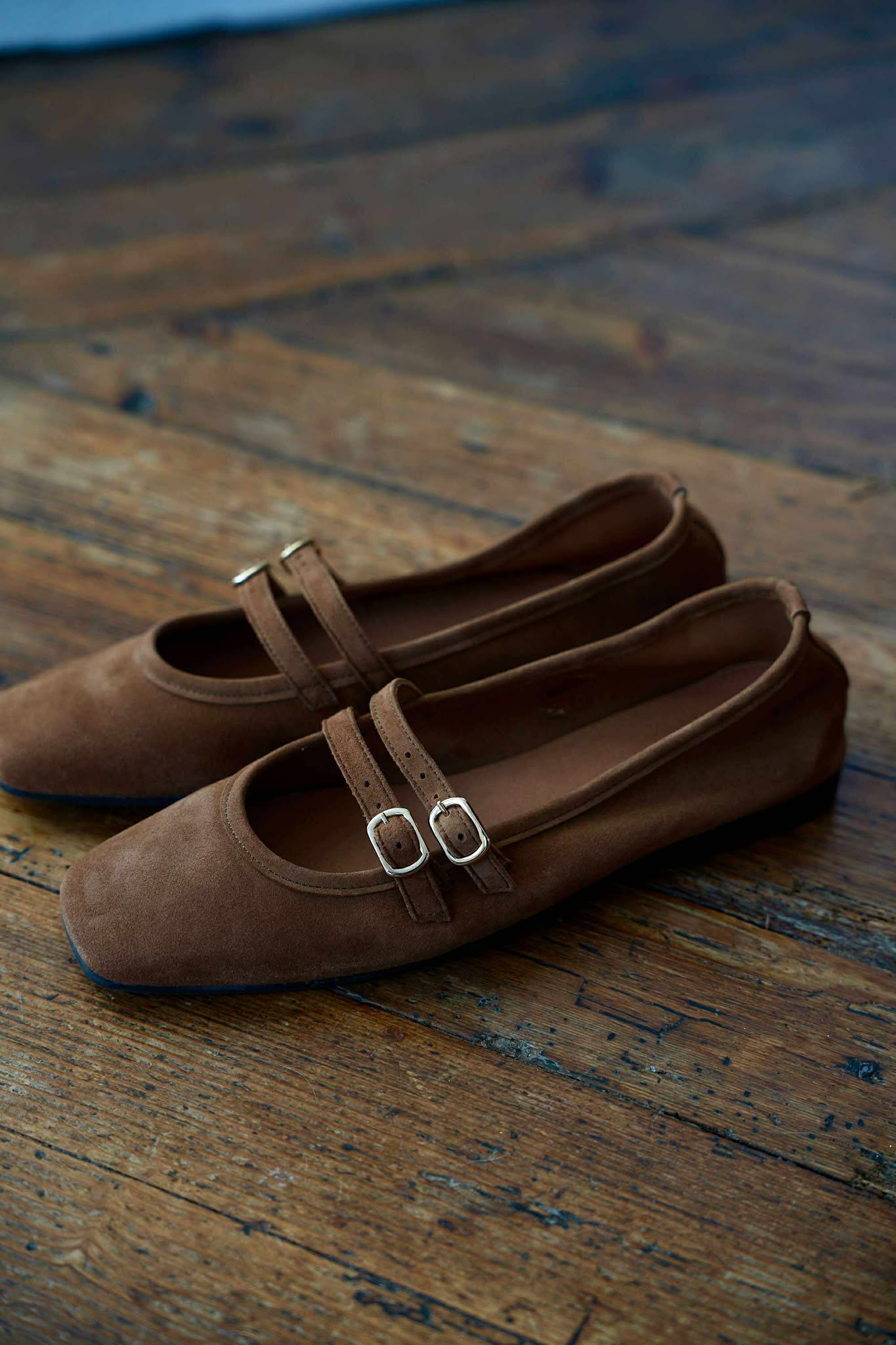 We Do CO55362 camel