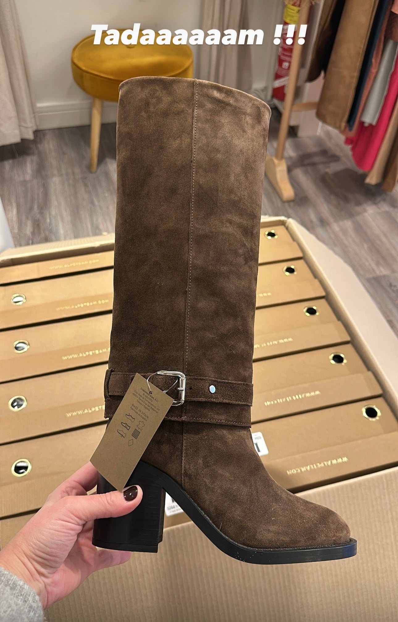 Alpe 5284 chocolat